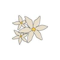 een doorlopende lijntekening van schoonheid verse bladverliezende jasmijnbloem. afdrukbare poster decoratieve jasminum concept voor thuis muur decor kunst. moderne enkele lijn tekenen grafisch ontwerp vectorillustratie vector