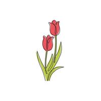 een doorlopende lijntekening van schoonheids verse tulp voor logo. afdrukbare poster decoratief nederland nationaliteit bloem concept muur home decor kunst. moderne enkele lijn tekenen ontwerp vectorillustratie vector