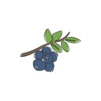 een doorlopende lijntekening van hele gezonde biologische bosbessen voor de identiteit van het boomgaardlogo. vers blauw bessenfruitconcept voor fruittuinpictogram. moderne enkele lijn tekenen ontwerp vectorillustratie vector