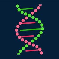 menselijk genen cel, dna moleculen schroef structuur vector