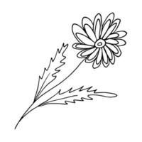 vector tekening bloem Aan wit achtergrond. geïsoleerd lineair bloemen element voor kleur bladzijde