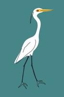 wit reiger vector illustratie. Super goed zilverreiger, Ardea alba, gemeenschappelijk zilverreiger vogel. wetland dier.