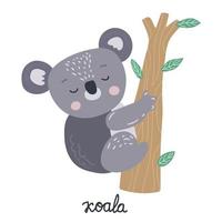 schattig slapen baby koala beer Aan een boom Afdeling. Australisch dier vector illustratie.