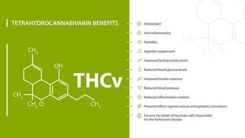 voordelen van tetrahydrocannabivarine, groen-witte poster met voordelen van tetrahydrocannabivarine met pictogrammen en chemische formule van cannabinol vector