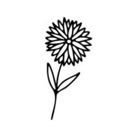 hand- getrokken kruiden, bloemen clip art. een lijn tekening vector