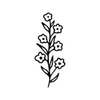 hand- getrokken kruiden, bloemen clip art. een lijn tekening vector