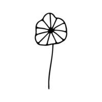 hand- getrokken kruiden, bloemen clip art. een lijn tekening vector