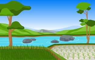 rijstveld klaar voor oogst illustratie vector