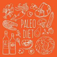 paleo ingrediënten gezond voedsel eetpatroon vector illustratie reeks