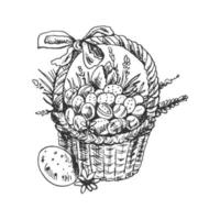 schetsen van Pasen mand. hand- getrokken wijnoogst illustratie met mand, Pasen eieren, en bloemen. vector. zwart en wit tekening. vector