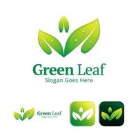 groen blad logo ontwerpsjabloon vector