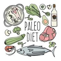 paleo menu gezond laag carb eetpatroon voedsel vector illustratie reeks