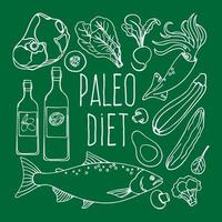 paleo eetpatroon gezond voedsel laag carb vector illustratie reeks