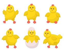 schattig baby kippen reeks in verschillend poses voor Pasen ontwerp. weinig geel tekenfilm kuikens. vector illustratie geïsoleerd Aan wit achtergrond. vrolijk weinig kippen en hanen activiteiten.