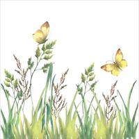 waterverf vector groen gras, kruid en geel vlinders geïsoleerd Aan wit achtergrond.