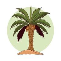 datum palm boom vector illustratie