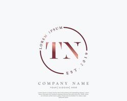 eerste brief tn vrouwelijk logo schoonheid monogram en elegant logo ontwerp, handschrift logo van eerste handtekening, bruiloft, mode, bloemen en botanisch met creatief sjabloon vector