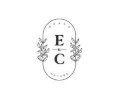 eerste ec brieven mooi bloemen vrouwelijk bewerkbare premade monoline logo geschikt voor spa salon huid haar- schoonheid winkel en kunstmatig bedrijf. vector