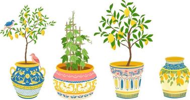 reeks van etnisch keramisch potten met citrus bomen en vogels. vector illustratie.