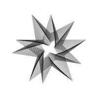 meetkundig fractal ster vector