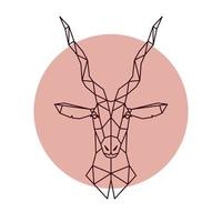 geometrische kop van de antilope. vectorillustratie van een wild dier. vector