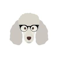 schattige poedelhond in modeglazen. eenvoudige hond pictogram geïsoleerd op een witte achtergrond. vector