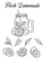 wijnoogst limonade schetsen of vector hand- getrokken illustratie vector