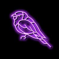 lila borsten rol vogel exotisch kleur icoon vector illustratie