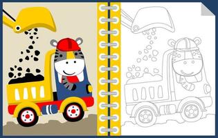 vector tekenfilm van schattig zebra Aan dump vrachtauto met backhoe lader, kleur boek of bladzijde