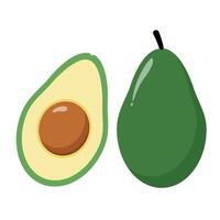 avocado fruit. vlak vector illustratie.