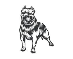 Amerikaans pesten hond vector illustratie, pesten hond vector zwart Aan wit achtergrond