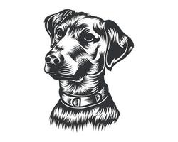 dobermann hond ras vector illustratie wit achtergrond
