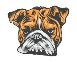 kleurrijk bulldog hoofd illustratie Aan wit achtergrond vector