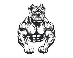 zwart en wit lichaam bouwer bulldog vector illustratie, lichaam bouwer hond vector