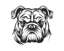 zwart en wit bulldog vector illustratie, boos gezicht stier hond vector