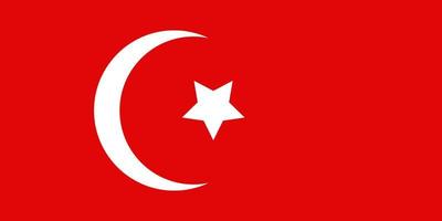 kalkoen vlag achtergrond vector illustratie. nationaal vlag. Turks nationaal vlag symbool van patriottisme. land vlag icoon.