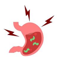 maag. maag- ziekte. maag pijn. spijsvertering werkwijze. maag- bacteriën. gerd vector