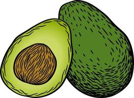 vector hand- getrokken avocado set. geheel avocado, gesneden stukken, voor de helft, blad en zaad schetsen. tropisch zomer fruit gegraveerde stijl illustratie. gedetailleerd voedsel tekening. Super goed voor label, poster, afdrukken