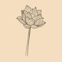 lotus bloem vector illustratie met lijn kunst
