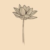 lotus bloem vector illustratie met lijn kunst