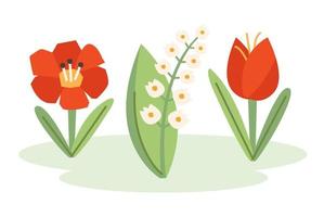 papaverbloem, sneeuwklokje, tulp, natuurillustratie, banner, kaartontwerp. voorjaar. vector