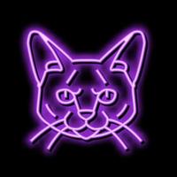 Siamees kat schattig huisdier neon gloed icoon illustratie vector