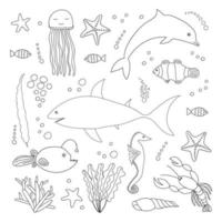 groot zee dieren set. vector zeeleven kleuren bladzijde. hand- getrokken tekening, vis en onderwater- dieren. ontwerp voor stickers, decor, patroon, afdrukken, kaarten. haai, kwallen, zeeduivel, zeepaardje, dolfijn.