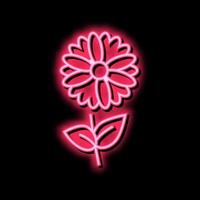 kamille bloem aromatherapie neon gloed icoon illustratie vector