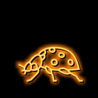 lieveheersbeestje insect neon gloed icoon illustratie vector