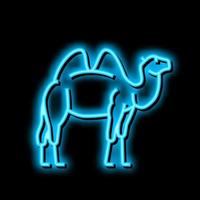 kameel dier in dierentuin neon gloed icoon illustratie vector