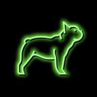 Frans bulldog hond neon gloed icoon illustratie vector