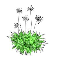 schets abstract bloem. tekening bloem met kleur. vector illustratie