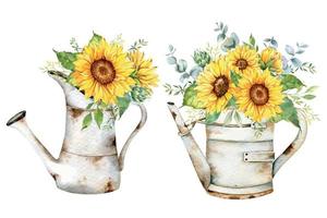 waterverf zonnebloemen boeket, hand- geschilderd zonnebloem boeketten met groen, zonnebloem bloem regeling. zonnebloem boerderij decor. waterverf bloemen. botanisch tekening. wit achtergrond vector