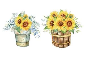 waterverf zonnebloemen boeket, hand- geschilderd zonnebloem boeketten met groen, zonnebloem bloem regeling. zonnebloem boerderij decor. waterverf bloemen. botanisch tekening. wit achtergrond vector